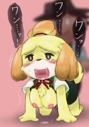 Rule 34 | 1boy, 1girl, all fours, blonde hair, blush, breasts, breasts out, clothed sex, dog, doggystyle, animal crossing, dress, furry, hair ornament, hetero, nintendo, open mouth, sex, sex from behind, isabelle (animal crossing), short hair, sweat, tears, trembling