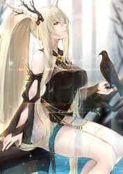 Rule 34 | 1girl, absurdly long hair, arknights, bare shoulders, bird, bird on hand, black nails, black one-piece swimsuit, blonde hair, branch, breasts, casual one-piece swimsuit, closed mouth, crow, detached sleeves, ears visible through hair, feet out of frame, hair between eyes, hair ornament, high ponytail, highres, horns, infection monitor (arknights), large breasts, long hair, long sleeves, looking at viewer, looking to the side, maya g, nail polish, official alternate costume, one-piece swimsuit, pointy ears, red eyes, shining (arknights), shining (silent night) (arknights), sideways glance, sitting, smile, solo, swimsuit, thigh strap, thighs, very long hair, water