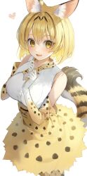 Rule 34 | 1girl, absurdres, animal ear fluff, animal ears, animal ears (norankkori), bare shoulders, black hair, blonde hair, breasts, commentary, double-parted bangs, elbow gloves, fang, gloves, gradient gloves, hair between eyes, hands on own chest, heart, high-waist skirt, highres, kemono friends, large breasts, looking at viewer, multicolored hair, open mouth, serval (kemono friends), serval print, shirt, short hair, simple background, skin fang, skirt, sleeveless, sleeveless shirt, solo, streaked hair, tail, white background, white gloves, white shirt, yellow eyes, yellow gloves, yellow skirt, yellow tail