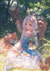 Rule 34 | 1girl, animal, apple, bad id, bad twitter id, bird, blue dress, bow, bug, butterfly, commentary, commentary request, copyright request, deer, dress, flower, food, fox, fruit, full body, grass, highres, insect, leaf, maccha (mochancc), pineapple, rabbit, red eyes, shoes, squirrel, tagme, white hair
