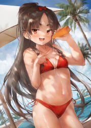 Rule 34 | 1girl, bare arms, bare legs, bare shoulders, bikini, black hair, blush, brown eyes, collarbone, cowboy shot, day, highres, kantai collection, long hair, navel, nisshin (kancolle), open mouth, outdoors, palm tree, red bikini, short eyebrows, smile, solo, suggestive fluid, swimsuit, toka (marchlizard), tree