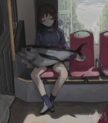 Rule 34 | 1girl, alicejoza, animal, bare legs, blue footwear, blue shirt, boots, breasts, brown hair, day, fish, half-closed eyes, holding, holding animal, holding fish, indoors, light smile, long sleeves, medium hair, original, seat, shirt, signature, sitting, small breasts, solo, train interior, tuna