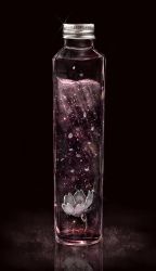 Rule 34 | artist name, black background, bottle, cocon (cocon q), flower, glass, glint, grey flower, highres, light particles, no humans, original, petals, pink theme, reflection, signature, simple background, still life, twitter username, water