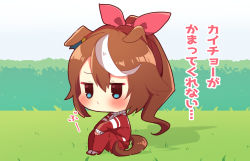 Rule 34 | 1girl, animal ears, blue eyes, blush, brown hair, chibi, closed mouth, commentary request, ebihara beniko, eyebrows hidden by hair, hair between eyes, hair ribbon, horse ears, horse girl, horse tail, jacket, knees up, long hair, long sleeves, multicolored hair, on grass, pants, pink ribbon, ponytail, red footwear, red jacket, red pants, ribbon, shoes, sitting, sleeves past wrists, solo, streaked hair, tail, tokai teio (umamusume), track jacket, track pants, track suit, translation request, umamusume, very long hair, white hair