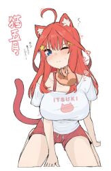 Rule 34 | 1girl, ahoge, animal ear fluff, animal ears, artist request, blush, breasts, cat girl, cat tail, closed mouth, clothes writing, collarbone, english text, go-toubun no hanayome, hair ornament, hand on another&#039;s chin, japanese text, large breasts, looking at viewer, nakano itsuki, one eye closed, red hair, shirt, short hair, simple background, sitting, solo focus, source request, star (symbol), star hair ornament, t-shirt, tail, translation request, wariza, white background