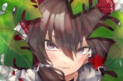 Rule 34 | 1girl, bow, brown eyes, brown hair, closed mouth, collared vest, commentary request, frilled bow, frilled hair tubes, frills, hair bow, hair tubes, hakurei reimu, leaf, medium hair, nontraditional miko, red bow, sidelocks, solo, touhou, uchisaki himari, vest