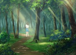 Rule 34 | 1girl, anime coloring, arms behind back, black hair, blue skirt, bush, dappled sunlight, day, facing away, forest, from behind, full body, grass, holding another&#039;s arm, kneehighs, light particles, light rays, looking away, medium hair, nature, original, outdoors, path, pleated skirt, road, scenery, skirt, socks, solo, sunbeam, sunlight, tree, white socks, wind, xingyue ling