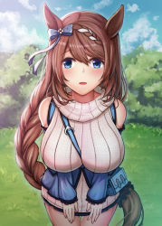 Rule 34 | 1girl, :d, aiban, animal ears, bag, beige sweater, between breasts, blue bow, blue eyes, blue skirt, blue sky, blush, bow, braid, braided ponytail, breasts, brown hair, bush, cloud, grass, hair bow, handbag, highres, horse ears, horse girl, horse tail, large breasts, looking at viewer, multicolored hair, open mouth, outdoors, pleated skirt, ribbed sweater, sidelocks, skirt, sky, sleeveless, sleeveless sweater, smile, solo, strap between breasts, streaked hair, super creek (umamusume), sweater, tail, turtleneck, turtleneck sweater, umamusume