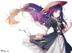 Rule 34 | 1girl, aibivy, ajirogasa, beads, black dress, breasts, brown hat, closed mouth, commentary request, cowboy shot, cross-laced clothes, dress, floating hair, flower, gradient hair, hands up, hat, highres, hijiri byakuren, lily pad, long hair, looking at viewer, medium breasts, multicolored hair, pink flower, prayer beads, puffy short sleeves, puffy sleeves, purple eyes, short sleeves, simple background, solo, standing, touhou, twitter username, two-tone hair, very long hair, white background, white dress