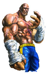 Rule 34 | 1boy, abs, bald, clenched hand, eyepatch, hand wraps, male focus, muscular, no pupils, sagat, scar, topless male, shopyun, simple background, solo, street fighter