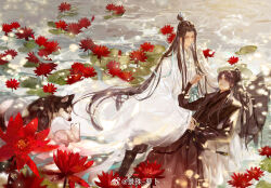 Rule 34 | 2boys, black footwear, black hair, cat, chinese clothes, chinese commentary, chu wanning, closed mouth, dog, erha he tadebai mao shizun, flower, full body, grey eyes, hair bun, hanfu, high ponytail, holding another&#039;s hair, holding hands, husky, jing shu, long hair, long sleeves, looking at another, lotus, lotus leaf, lying on lap, male focus, mo ran, multiple boys, official art, purple eyes, ribboned xiao guan, sitting, smile, water, weibo watermark, wide sleeves, xiao guan (headdress), yaoi