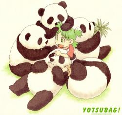 Rule 34 | 1girl, absurdres, animal, azuma kiyohiko, child, copyright name, eating, giant panda, green eyes, green hair, hand on another&#039;s head, highres, koiwai yotsuba, matching hair/eyes, panda, scan, sitting, yotsubato!