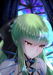 Rule 34 | 1girl, absurdres, bag, black bow, bow, budgiepon, c.c., closed mouth, code geass, cosplay, eyebrows hidden by hair, fate/grand order, fate (series), green hair, hair between eyes, hair bow, highres, long hair, morgan le fay (fate), morgan le fay (fate) (cosplay), portrait, solo, yellow eyes