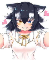 Rule 34 | 1girl, animal ears, artist request, black hair, blue eyes, blush, breasts, casual, commentary, commentary request, grey wolf (kemono friends), heart, heterochromia, highres, kemono friends, looking at viewer, medium breasts, multicolored hair, open mouth, simple background, solo, two-tone hair, white background, white hair, wolf ears, wolf girl, yellow eyes