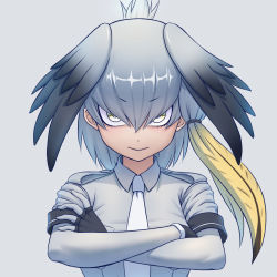 Rule 34 | 10s, 1girl, :&gt;, black gloves, bodystocking, crossed arms, fingerless gloves, gloves, grey background, grey hair, grey shirt, hair between eyes, head wings, highres, kemono friends, looking at viewer, necktie, shirt, shoebill (kemono friends), side ponytail, simple background, sion (sion9117ys), solo, upper body, white necktie, wings, yellow eyes