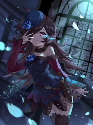 Rule 34 | 1girl, absurdres, animal ears, bare shoulders, black dress, black hat, black thighhighs, blue flower, blue rose, breasts, brown hair, commentary request, dagger, dress, eye trail, flower, hair over one eye, hand up, hat, hat flower, highres, horse ears, indoors, knife, light trail, long hair, looking at viewer, moonlight, night, off-shoulder dress, off shoulder, parted lips, petals, priest77, purple eyes, rice shower (umamusume), rose, sheath, sheathed, small breasts, solo, standing, thighhighs, tilted headwear, umamusume, very long hair, weapon, window