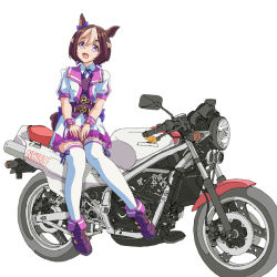 Rule 34 | 1girl, :d, animal ears, blue ribbon, bow, brown hair, ear bow, full body, hal-py, honda, horse ears, horse girl, horse tail, looking at viewer, motor vehicle, motorcycle, multicolored hair, open mouth, purple eyes, purple footwear, ribbon, short hair, sidelocks, sitting, smile, solo, special week (umamusume), tail, thighhighs, two-tone hair, umamusume, white hair, white thighhighs