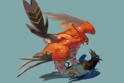 Rule 34 | absurdres, beak, bird, commentary request, corvisquire, creatures (company), from side, game freak, gen 6 pokemon, gen 8 pokemon, green background, highres, nintendo, no humans, open mouth, pecohophop, pokemon, pokemon (creature), red eyes, simple background, talonflame, talons