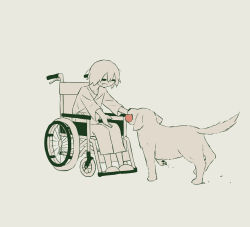 Rule 34 | :d, = =, absurdres, avogado6, ball, dog, highres, holding, holding ball, hospital gown, long sleeves, open mouth, original, simple background, slippers, smile, spot color, wheelchair