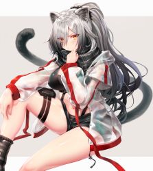 Rule 34 | 1girl, absurdres, animal ear fluff, animal ears, arknights, bare legs, black scarf, black shorts, blush, breasts, brown eyes, cat ears, cat tail, commentary request, crop top, feet out of frame, grey background, hair over one eye, hand up, highres, jacket, large breasts, long hair, long sleeves, looking at viewer, midriff, navel, open clothes, open jacket, partial commentary, pouch, scarf, schwarz (arknights), see-through, short shorts, shorts, silver hair, sitting, solo, stomach, sukemyon, tail, thigh strap, thighs, two-tone background, very long hair
