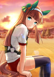 Rule 34 | 1girl, absurdres, alternate costume, animal ears, bench, blue eyes, blurry, blurry background, blush, buruma, cheesecake (artist), closed mouth, commentary request, field, gym uniform, highres, horse ears, horse girl, horse tail, looking at viewer, orange hair, silence suzuka (umamusume), sitting, smile, solo, sunset, sweat, tail, thighhighs, umamusume