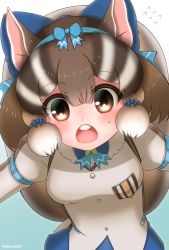 Rule 34 | 1girl, animal costume, animal ear fluff, animal ears, bow, bowtie, brown eyes, brown hair, chipmunk ears, chipmunk girl, chipmunk tail, highres, hikarikmy, kemono friends, kemono friends v project, looking at viewer, multicolored hair, open mouth, ribbon, scarf, shirt, short hair, shorts, siberian chipmunk (kemono friends), simple background, solo, tail, virtual youtuber, white hair