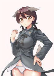 Rule 34 | 1girl, animal ears, brown hair, gertrud barkhorn, highres, long hair, military, military uniform, panties, ribbon, sikijou77o, strike witches, tail, thighs, twintails, underwear, uniform, white panties, world witches series