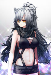 Rule 34 | 1girl, alalen, animal ear fluff, animal ears, arknights, artist name, bare arms, bare shoulders, black scarf, black shorts, breasts, cat ears, chinese commentary, cleavage, commentary request, cowboy shot, crop top, dated, grey background, hair over one eye, highres, large breasts, long hair, midriff, navel, scarf, schwarz (arknights), short shorts, shorts, silver hair, sleeveless, solo, sparkle, standing, stomach, very long hair, yellow eyes