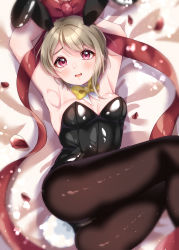Rule 34 | 1girl, absurdres, animal ears, artist name, artist request, bare shoulders, bed, black leotard, blush, bow, bowtie, breasts, brown hair, brown pantyhose, cleavage, collarbone, female focus, grey hair, highres, leotard, light brown hair, looking at viewer, love live!, love live! nijigasaki high school idol club, medium breasts, nakasu kasumi, on bed, pantyhose, parted lips, petals, pink eyes, playboy bunny, purple eyes, rabbit ears, rabbit tail, red bow, red petals, red ribbon, ribbon, short hair, smile, solo, wing collar, worried, yellow bow