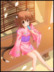Rule 34 | 1girl, :p, ahoge, bad id, bad pixiv id, blush, brown eyes, brown hair, chen, female focus, flat chest, flower, food, highres, japanese clothes, kimono, licking, multiple tails, outdoors, petals, pink kimono, popsicle, ryuma, short hair, sitting, solo, tail, tongue, tongue out, touhou, yukata