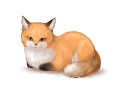 Rule 34 | :3, animal focus, cat, chimera, fox, from side, full body, highres, looking at viewer, original, simple background, sitting, smile, solo, sukemyon, whiskers, white background