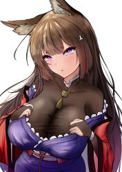 Rule 34 | 1girl, absurdres, amagi (azur lane), animal ears, azur lane, blush, bodystocking, breasts, brown hair, clothes pull, coat, fox ears, fox girl, from above, hair between eyes, hair ornament, hairpin, hands on own chest, hands up, haori, head tilt, highres, jacket, jacket pull, japanese clothes, kimono, kimono pull, kitsune, large breasts, long hair, long sleeves, looking at viewer, off shoulder, open mouth, pulled by self, purple eyes, purple kimono, red coat, sakura empire (emblem), simple background, solo, very long hair, white background, wide sleeves, yukkurimikan