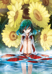 Rule 34 | 1girl, afloat, aqua hair, breasts, cleavage, comiket 90, commentary request, flower, green hair, highres, ishida kazuma, kazami yuuka, looking at viewer, medium breasts, midriff, navel, no bra, open clothes, open shirt, open vest, photoshop (medium), plaid, plaid shirt, plaid skirt, plaid vest, red eyes, red vest, ribbon, shirt, skirt, skirt set, smile, solo, standing, sunflower, touhou, vest, wading, water