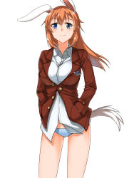Rule 34 | 1girl, absurdres, animal ears, blue eyes, blush, breasts, charlotte e. yeager, commentary request, cowboy shot, emblem, eyebrows, gluteal fold, hair between eyes, hands in pockets, highres, hiroshi (hunter-of-kct), jacket, large breasts, looking afar, military, military uniform, orange hair, panties, rabbit ears, rabbit girl, rabbit tail, shirt, simple background, smile, solo, strike witches, tail, underwear, uniform, white background, white panties, white shirt, world witches series