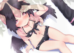 Rule 34 | 1girl, arm support, arm up, bikini, black bikini, black bow, black wings, blue archive, blush, bow, breasts, closed mouth, collarbone, commentary request, feathered wings, feet out of frame, floral print, front-tie bikini top, front-tie top, hair bow, hair over shoulder, head wings, highres, koharu (blue archive), koharu (swimsuit) (blue archive), long hair, looking at viewer, low twintails, low wings, maccha, navel, no halo, nose blush, official alternate costume, pink eyes, pink hair, print bikini, sitting, small breasts, solo, swimsuit, twintails, wings