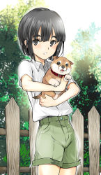 Rule 34 | 1boy, black eyes, black hair, coin rand, collar, commentary request, cowboy shot, day, dog, fence, green shorts, highres, holding, looking at viewer, looking up, male focus, outdoors, parted lips, puppy, shiba inu, short hair, shorts, standing, thick eyebrows
