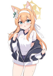 Rule 34 | 1girl, animal ear fluff, animal ears, black jacket, black shorts, blue archive, blue eyes, blush, commentary request, flower, gym shirt, gym shorts, gym uniform, hair between eyes, hair flower, hair ornament, hairband, halo, highres, jacket, long hair, long sleeves, looking at viewer, mari (blue archive), mari (track) (blue archive), massala, off shoulder, open clothes, open jacket, orange hair, parted lips, puffy long sleeves, puffy short sleeves, puffy sleeves, see-through, shirt, short sleeves, shorts, simple background, solo, sweat, track jacket, very long hair, wet, wet clothes, wet shirt, white background, white flower, white hairband, white shirt