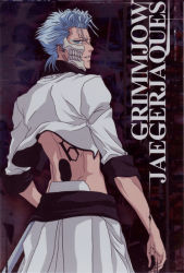 Rule 34 | 00s, 1boy, arrancar, back, bleach, blue eyes, blue hair, grimmjow jaegerjaquez, looking back, male focus, matching hair/eyes, number tattoo, official art, skull, solo, tattoo