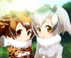 Rule 34 | 10s, 2girls, black hair, bloom, blue sky, blurry, blurry background, brown hair, bush, closed mouth, coat, day, depth of field, eurasian eagle owl (kemono friends), expressionless, fur trim, gradient hair, hair between eyes, head wings, junshi (junbox), kemono friends, library, looking at viewer, multicolored hair, multiple girls, northern white-faced owl (kemono friends), outdoors, parted lips, short hair, sky, streaked hair, sunlight, tree, white hair, wings
