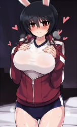 Rule 34 | 10s, 1girl, animal ears, bed, black hair, blush, brave witches, breast suppress, breasts, buruma, covered erect nipples, cowboy shot, gym uniform, hair between eyes, hands on own chest, heart, heart-shaped pupils, indoors, jacket, large breasts, looking at viewer, nose blush, null (nyanpyoun), open clothes, open jacket, open mouth, pillow, pussy juice, rabbit ears, rabbit girl, shimohara sadako, shirt, short hair, single vertical stripe, smile, solo, spoken heart, steam, strike witches, sweat, symbol-shaped pupils, taut clothes, taut shirt, thigh gap, track jacket, unzipped, world witches series, zipper
