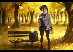 Rule 34 | 1girl, arm at side, arm up, bag, bench, black footwear, black skirt, blue ribbon, brown hair, cat, chewing, collared shirt, commentary request, day, eating, falling leaves, forest, full body, hair ribbon, holding, leaf, letterboxed, long hair, long sleeves, looking to the side, multiple cats, n.a., nature, outdoors, pantyhose, pleated skirt, ribbon, school uniform, shirt, skirt, solo, standing, sunlight, tree, wing collar