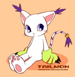 Rule 34 | animal ears, cat, cat ears, digimon, digimon (creature), gloves, holy ring, jewelry, lowres, ring, tail, tailmon