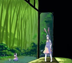 Rule 34 | 2girls, animal ears, apron, bamboo, bamboo forest, bush, carrot necklace, collared shirt, day, floppy ears, forest, frown, grass, hand on own hip, heiya, holding ears, inaba tewi, jewelry, jitome, long hair, multiple girls, nature, necklace, necktie, outdoors, porch, pout, rabbit, rabbit ears, rabbit girl, rabbit tail, red eyes, red necktie, reisen udongein inaba, rock, shadow, shirt, shouting, spoon, squatting, tail, touhou, very long hair, white shirt, wood