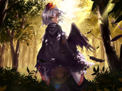 Rule 34 | 1girl, cloak, dusk, feathered wings, feathers, forest, hat, heterochromia, leaf, lord tenma (touhou), nature, original, solo, starsyi, tokin hat, torn clothes, touhou, white hair, wings