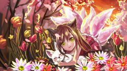 Rule 34 | 1girl, ahri (league of legends), animal ears, brown hair, dress, flower, fox, fox ears, fox tail, highres, league of legends, multiple tails, sinbe, slit pupils, solo, tail, yellow eyes, aged down