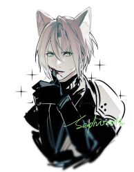 Rule 34 | 1boy, aged down, animal ears, armor, black gloves, blood, blood on face, blood on mouth, cat boy, cat ears, dapanggezilan, final fantasy, final fantasy vii, gloves, green eyes, hand on own face, highres, long sleeves, male focus, parted lips, partially colored, pauldrons, sephiroth, short hair, shoulder armor, simple background, single pauldron, slit pupils, solo, sparkle, sparkle background, turtleneck, white hair, wiping, wiping blood, wiping mouth