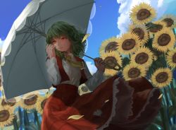 Rule 34 | 1girl, ascot, breasts, cloud, collared shirt, commentary request, cowboy shot, daisy, day, dutch angle, eyebrows hidden by hair, falling petals, field, flower, flower field, from below, green hair, hand in own hair, highres, holding, holding umbrella, kazami yuuka, long sleeves, looking ahead, looking to the side, medium breasts, medium hair, moyotan, open clothes, open vest, parted lips, petals, plaid, plaid skirt, plaid vest, red eyes, red skirt, red vest, shadow, shirt, skirt, skirt set, sky, smile, solo, standing, sunflower, sunflower field, touhou, umbrella, vest, white shirt, white umbrella, yellow ascot
