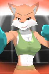 Rule 34 | 1girl, artist request, boxing, boxing gloves, breasts, brown eyes, female focus, fox, furry, furry female, open mouth, solo