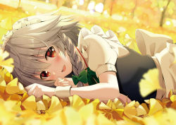 Rule 34 | 1girl, :d, apron, autumn leaves, blue vest, blurry, blush, bow, braid, depth of field, dutch angle, ginkgo tree, ginkgo leaf, green bow, green ribbon, hair between eyes, hair bow, hands up, izayoi sakuya, leaf, looking at viewer, lying, maid, maid apron, maid headdress, neck ribbon, on side, open mouth, petals, puffy short sleeves, puffy sleeves, red eyes, ribbon, shirt, short hair, short sleeves, silver hair, smile, solo, touhou, upper body, vest, waist apron, white apron, white shirt, wrist cuffs, yuuka nonoko