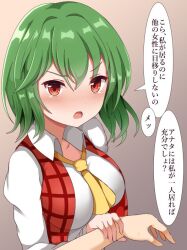 Rule 34 | 1girl, ascot, blush, breasts, collared shirt, commentary request, green hair, guard vent jun, hair between eyes, holding another&#039;s wrist, kazami yuuka, large breasts, open mouth, plaid, plaid vest, pov, red eyes, red vest, shirt, short hair, touhou, translation request, vest, white shirt, yellow ascot